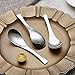 Kyraton Soup Spoons 4 Pieces, Stainless Steel Thick Heavy Weight Table Spoons, Asian Chinese Japanese Spoon Set for Cereal Ramen Dishwasher Safe