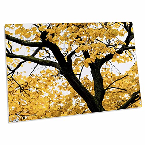 Pad para escritorio 3dRose árbol negro hojas amarillas 58x40 cm