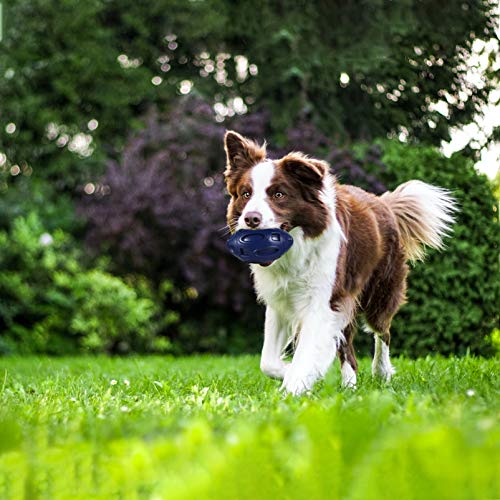 POPETPOP Brinquedos Que Fazem Barulho Cachorro Verificador de Cachorro Bola Chiar Brinquedo de Futeb