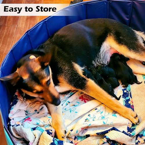 Image of Artilife Dog Whelping Box,Dog Whelping Box Pool,Whelping Box for Dogs Birthing,Welping Box Whelping Pen Whelping Box for Puppies Whelping Supplies (Blue, 39 inch Dia.x12 H)