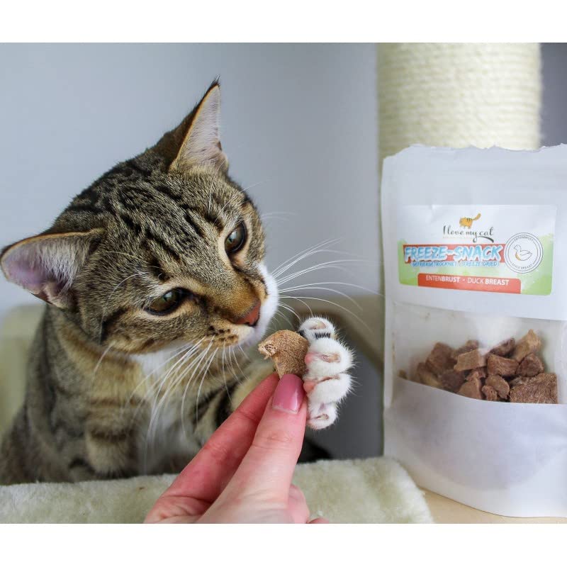 I Love My Cat Freeze-Snack, friandise Saine pour Chats (lyophilisée), pauvre en Glucides et sans additifs artificiels - 100 g - Image 4
