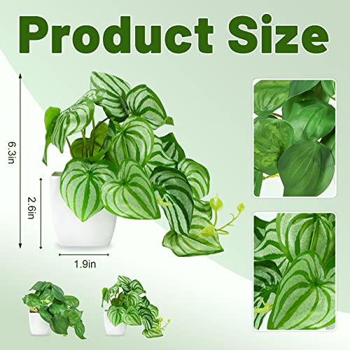 Reviews y listado de Oferta plantas listamos los 10 mejores. 11 Imagen adicional