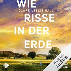 Wie Risse in der Erde Titelbild