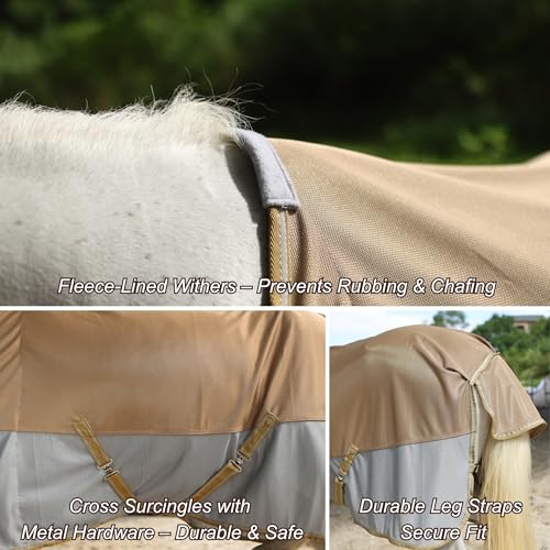 Image of BARN & STABLE Breathable and UV Protective Tear-Resistant Mesh Horse Fly Sheet Comfy Equine Summer Sheet with Removable Web Leg Straps (Gold Silver, 75 in)