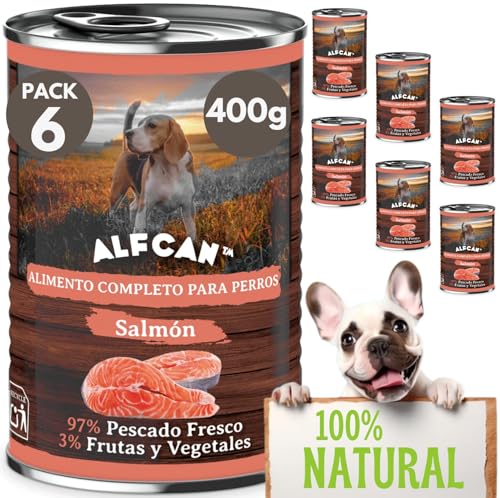 Comida Humeda Perros | Latas Perro (6x400g) Comida Perros Humeda | Pate para Perros | Comida Perros Grandes | Comida Natural para Perros | Comida para Perros en Lata | Pienso Humedo Perro
