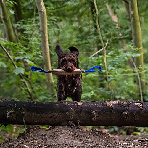 Sprenger Beisswurst für Hunde I sehr Robustes Hundespielzeug aus langlebiger Jute I Tauziehen und Zerrspiele für große Hunde, Bringsel mit 2 Handschlaufen Größe L (38 x 10 cm)
