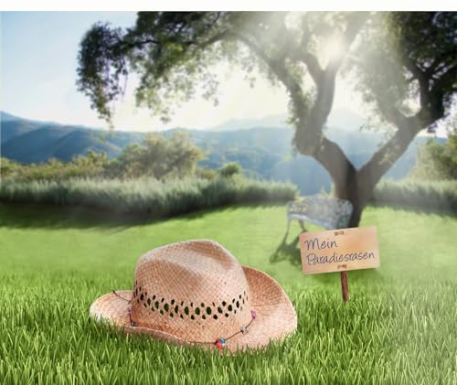 Kiepenkerl Profi-Line Sunny Green Rasen für trockene Standorte 666108, 1 kg für 35 m² – Wassersparend - Für trockene Gärten - Grüne Grasfarbe auch in Trockenperioden - Rasensamen, Saatgut