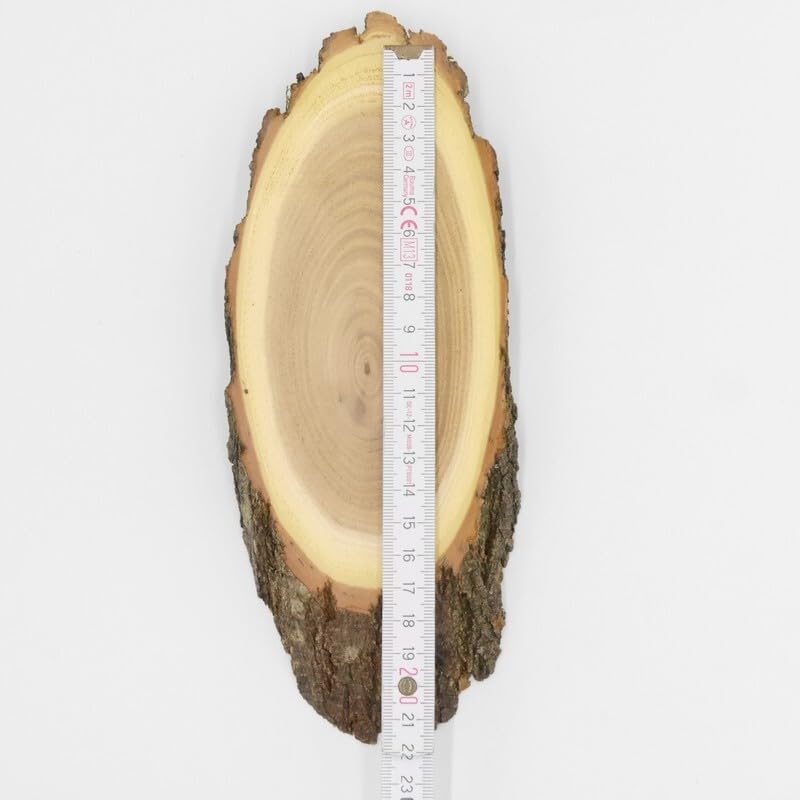 KRUMHOLZ 10 Stück Trophäenschilder Akazie AF 17 cm Rehbock Geweih Baumschild