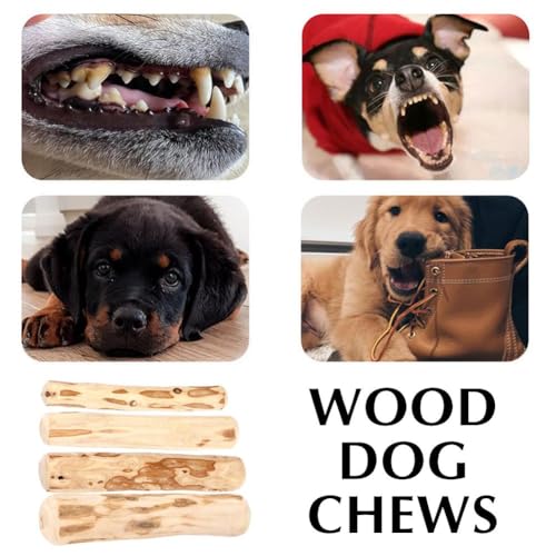 Hundekauspielzeug aus Holz, Kaffee-Holz, Hundekaustab für regelmäßiges Kauen, 100% natürliches Spielzeug sicher, Hundezahnreinigung & Stressabbau, Bio-Spielzeug geeignet für große Hunde und Welpen bis