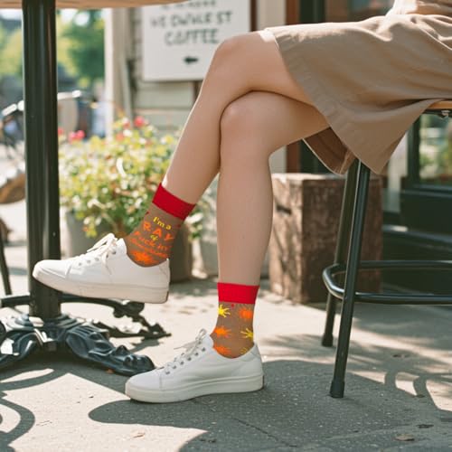Image of Funny Socks for Women and Teenage Girls, Cute Crazy Unique Novelty Gifts