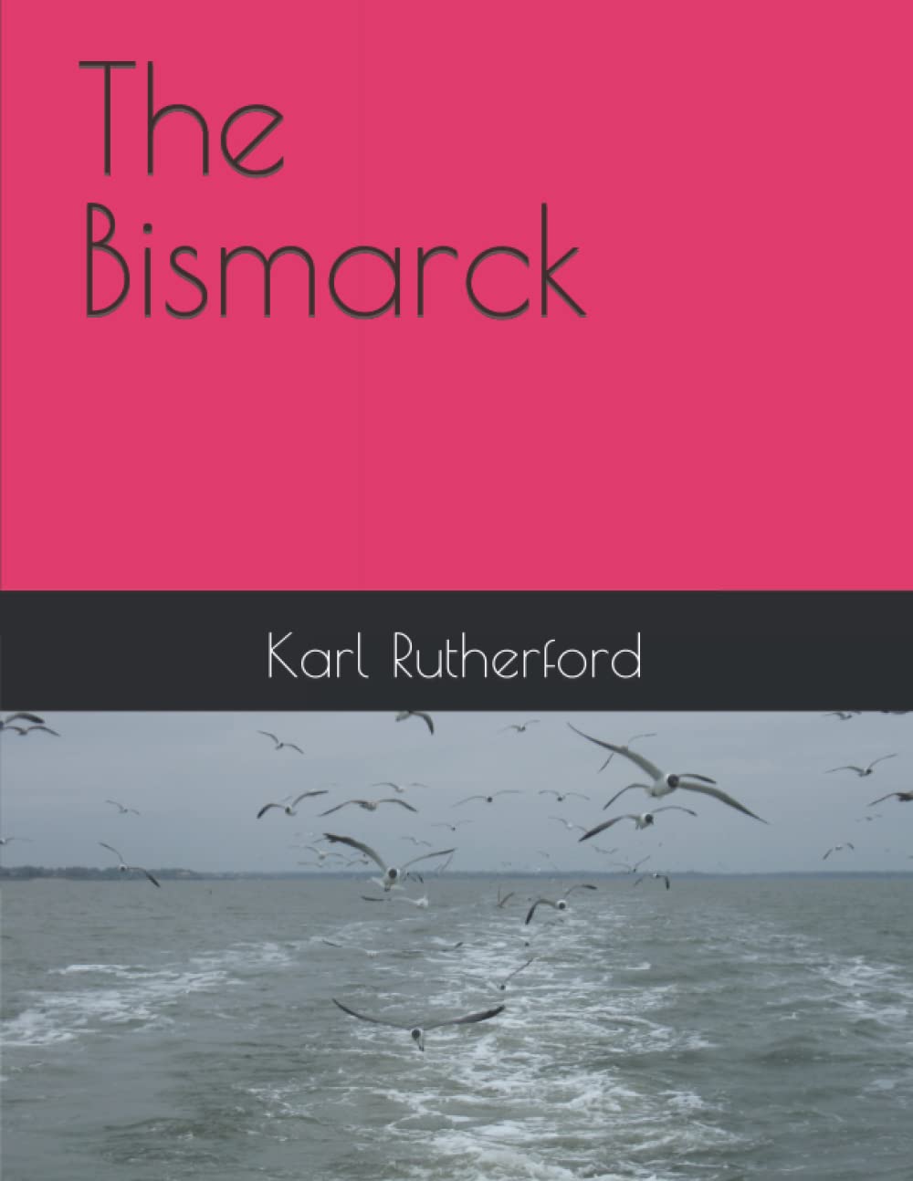 The Bismarck