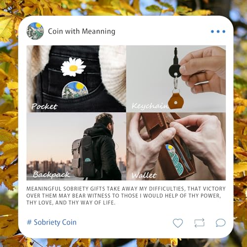 Image of Sunlight 33 Year Sobriety Coin - Recovery 33 Year AA Coins - Serenity Prayer NA AA Chips and Medallions - 1-65 Prime Living Clean Sober Token - Narcotics Alcoholics Anonymous Gifts for Men Women