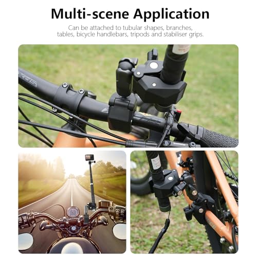 View 5