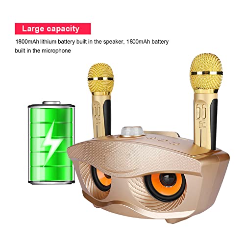 Alto-falante de karaokê, Unidade de karaokê KTV Residencial Com Dois Microfones, Alto-falante Blueto