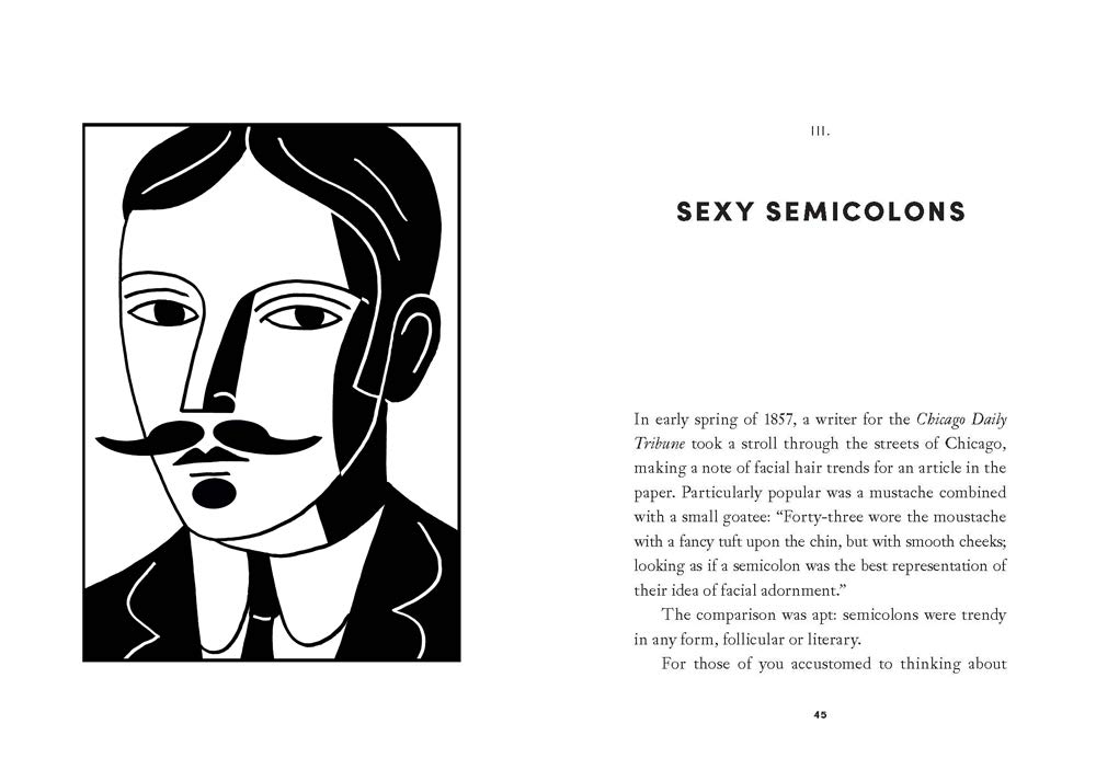 Semicolon: The Past, Present, and Future of a Misunderstood Mark