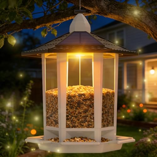 Birdream Solar Bird Feeders for Outdoors Hanging, Assembly Required, 1-Min