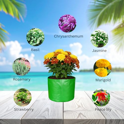 Image of HDPE UV Treated 340 GSM Plant Growing Bags for Terrace Gardening Easy to Use 15 x 09 Inch - Pack of 5
