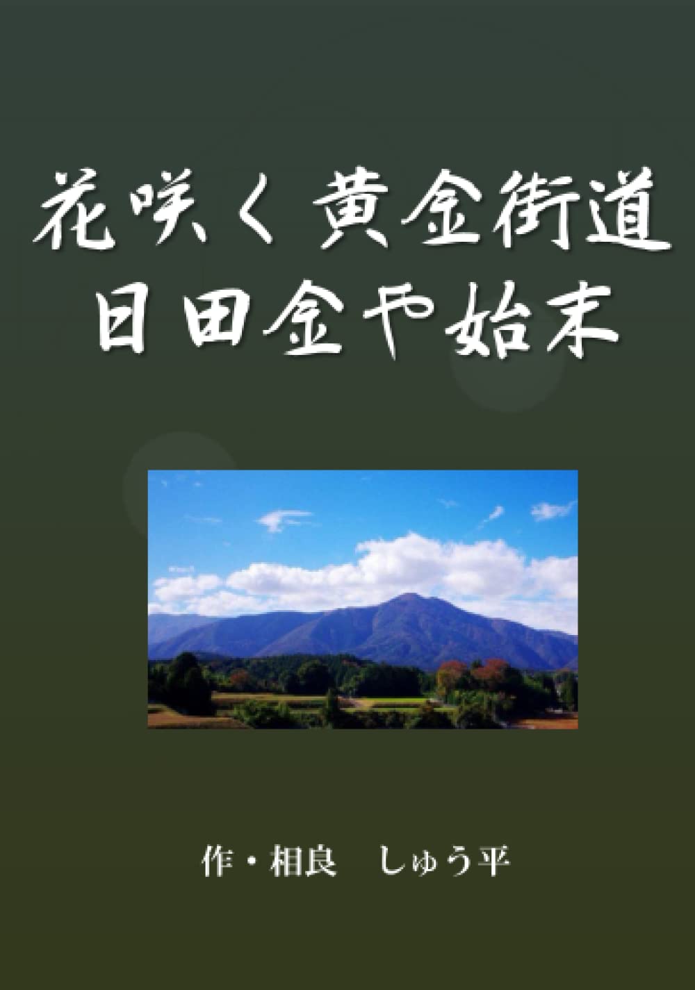 花咲く黄金街道 日田金や始末 相良しゅう平 本 通販 Amazon