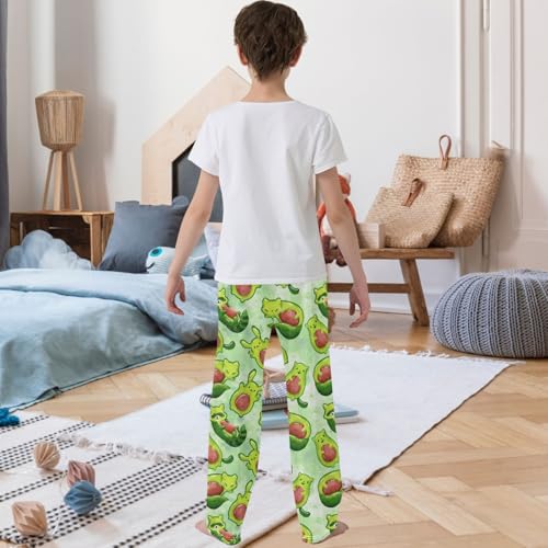 Boy's Pants Cute Avocado Raccoon Jogger Pants Elastic Waist Long Bottoms Trousers with Pockets 6-14 Years3