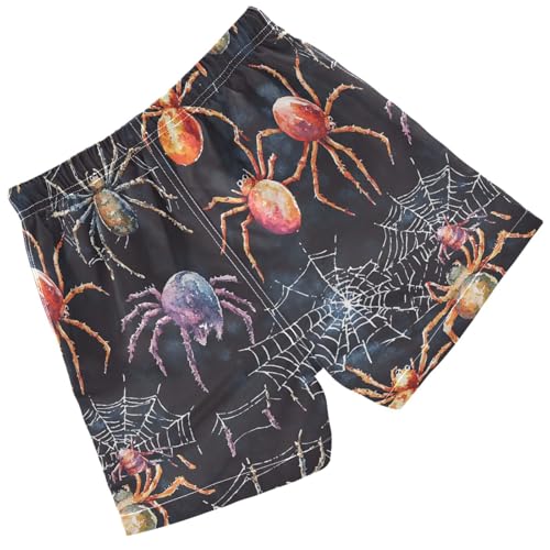 Pigsaly Boys' Swim Board Shorts White Spider Webs Colorful Spiders Boy's Swim Trunks Kids Swimwear 5T2