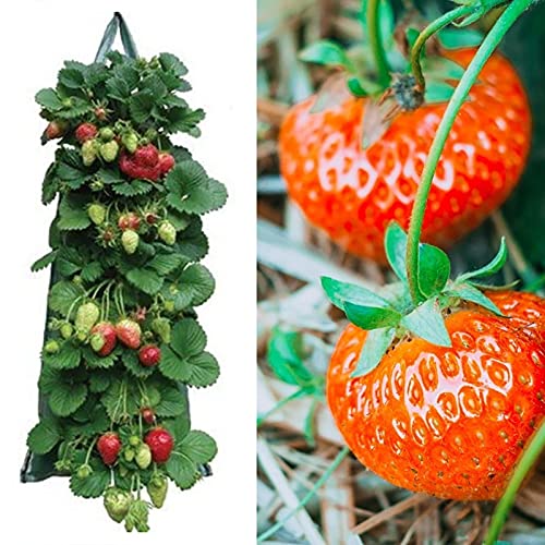 Vertical Garden Planter,Hanging Planter Bags Waterproof Wall-Mounted Felt Planting Grow Bags Outdoor Indoor Gardening Flower Container Plant Grow Bag For Flower Vegetable #TOP6