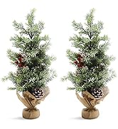 Amazon.com: HiiARug 2 Packs Mini Christmas Tree 20 Inch Artificial ...