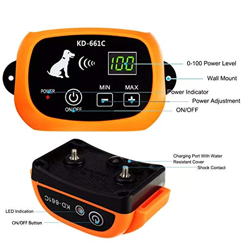 Wireless Dog Fence in Action Outdoor