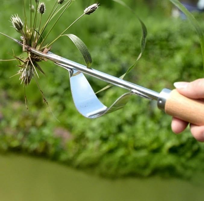 Diserbante, sarchiatore Manuale, da Giardino, di tarassaco, Attrezzi for diserbo, scavo(2pcs)
