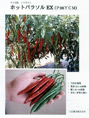 Amazon.co.jp: ホットパラソルEX 八重農芸の激辛唐辛子種です : DIY