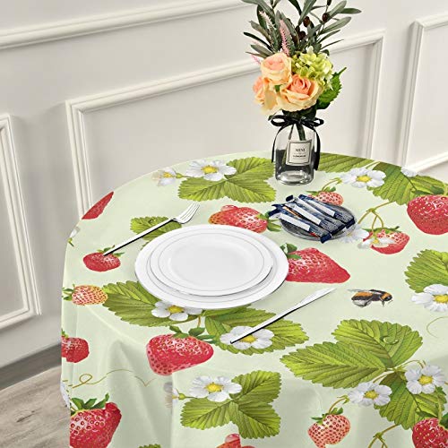 Red Strawberry Printed Round Tablecloth Washable Polyester Lace Trim,Spring Vibrant Fruits 60 Inch Kitchen Circle Table Cloth Cover Mat For Party Dinning Tabletop Wedding Home Decor #TOP5