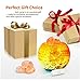 Himalayan Crystal Salt Lamp ,Lucktao USB Charge Adjustable with LED Dimmer Cord,Pure Salt Crystals in Glaze Bowl ,Relieve Stress Safety Salt Lamp,Holiday Gift lamp