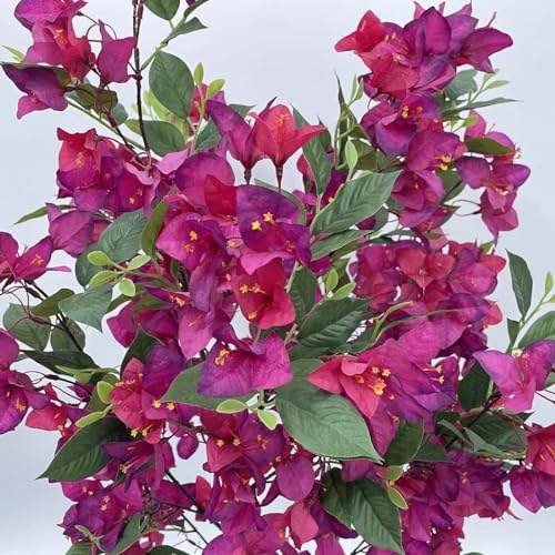 Image of Fox & Fern Artificial Bougainvillea Plant | with Basic Pot | Elevate Any Corner of Your Home /Office | Ornamental Plant Best for Home Decor (Pack of 1) (Ht. 4Ft) (Bougainvillea150cm Pink)