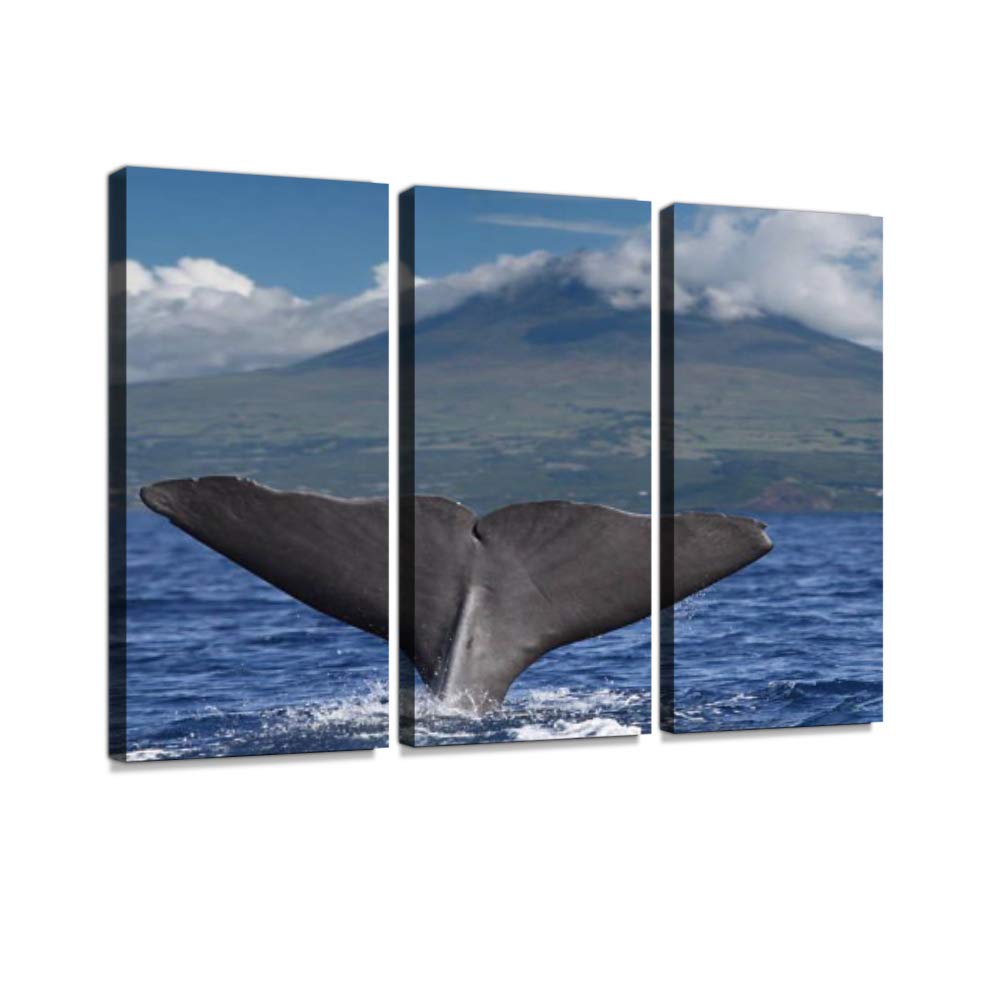 Amazon.com: 7houarts 大鯨魚鰭火山皮前面Azores 群島壁掛藝術品海報現代居家牆面獨特圖案牆面裝飾繃框式- 3 件: 居家與廚房