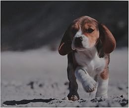 علاقة حائط من الخشب الصلب مقاس 50×70 سم من سام اكسبرس - 2724337655891