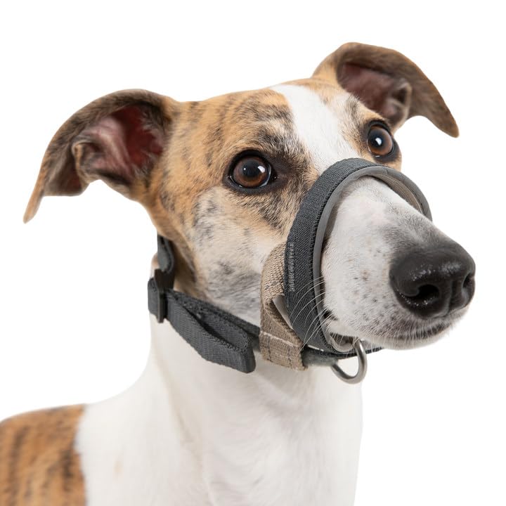Duuclume Dog Muzzle for Small to Large Dogs - Breathable Adjustable Strap with Padded Nose Band & Reflective Strips,Prevents Biting, Chewing, Barking(Grey, S)