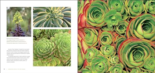 The Bold Dry Garden: Lessons from the Ruth Bancroft Garden