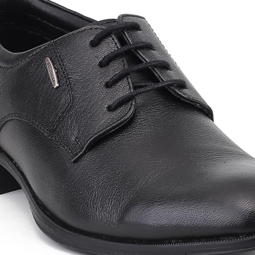 Image of Red Chief Low Ankle Formal Derby Shoes for Men