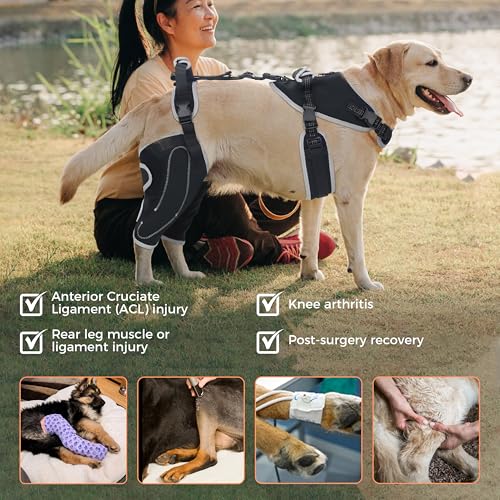 Image of Dog Knee Brace for Torn ACL&Luxating Patella-Both Leg-Upgraded-XL | Non-Slip Joint Brace,Adjustable Support With Sufficient Wrapping and Support & Luxating Patella,Pain Relief&Better Recovery