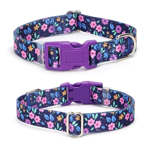 Collier violet pour chien réglable nylon souple boucle rapide XS M L