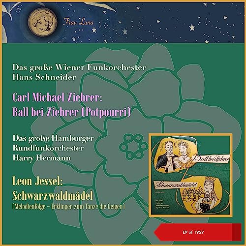 Das große Wiener Funkorchester