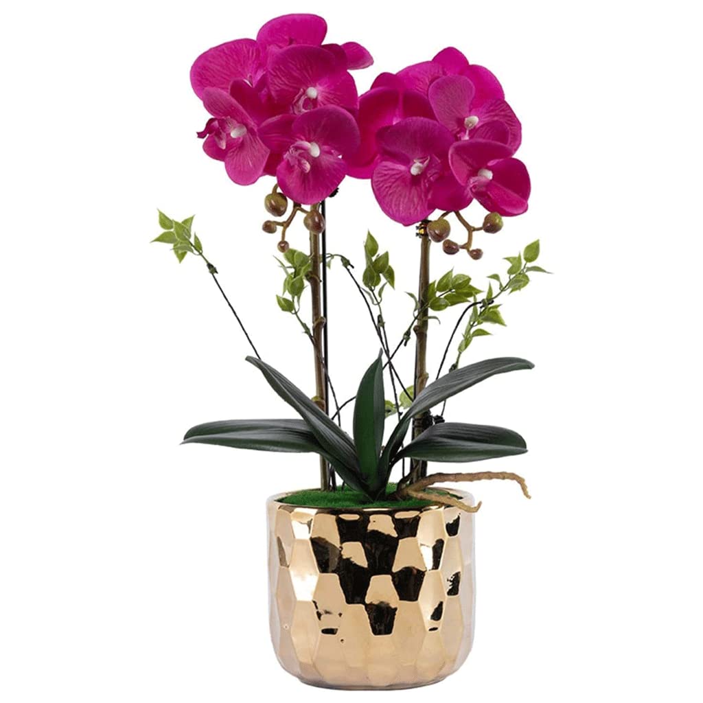 XDLEDMKIZ Orchid Artificial Flowers Potted Faux Orchids Artificial Phalaenopsis Flowers in Gold Porcelain Pot Durable for All Seasons Artificial Flowers natural look