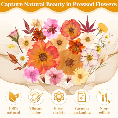 Image of Dried Pressed Flowers for Resin, Real Pressed Flowers Dry Leaves Bulk Natural Herbs Kit for Scrapbooking DIY Art Crafts Epoxy Resin Jewelry Mold Candle Soap Making Nails Decor (Boho Pressed Flowers)