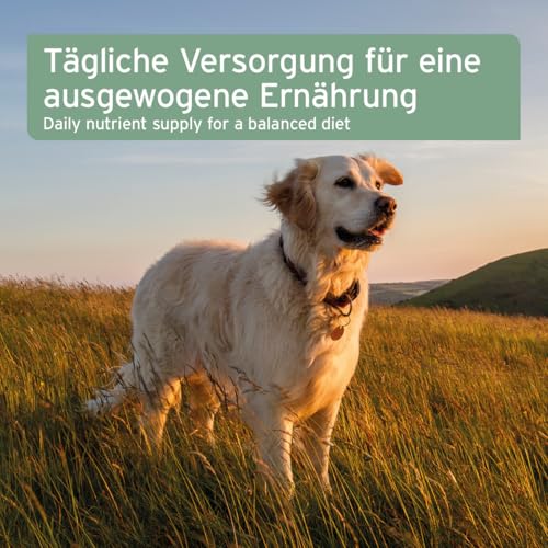 AniForte kaltgepresstes Bio Hanfsamenöl für Hunde & Pferde 1 Liter - 100% reines Barf Öl als Zusatz, Premium Hanfsamenöl, Naturprodukt ohne Zusätze