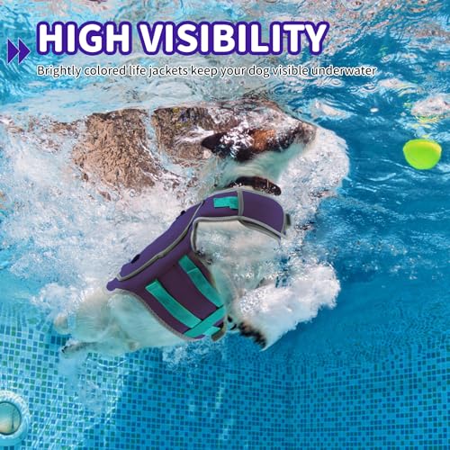 Dog-Swimming-Vest-with-D-Ring-Lightweight-Dog-Life-Vests-for-Boating-Reflective-Dog-Lifejackets-Swimsuit-Neoprene-Pet-Life-Jacket-with-Rescue-Handle-for-Small-Medium-Dogs-Purple-S Dog Swimming Vest with D Ring Lightweight Dog Life Vests for Boating Reflective Dog Lifejackets Swimsuit Neoprene Pet Life Jacket with Rescue Handle for Small Medium Dogs Purple S