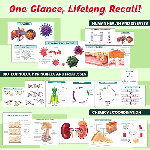 Image of PW NEET BioLens Biology Through Images For 2024-25 Exams l Interactive 3D Models, Visual Representation, Practice Questions [Paperback] PW