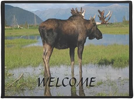 Pouenm1 Alaska Bull Moose With Rack Horns Welcome Doormat, 15 Inch by 24 Inch