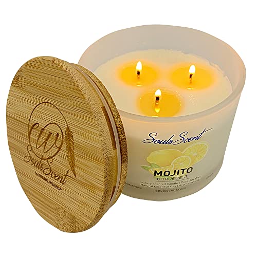 Souls Scent Mojito Series Scented Candles For Home & Office Refreshment, Citrus Zest Infused Aromatherapy, High Fcf Essential Oil Concentration And 100% Natural Soy Wax Used, Single Wick Design (7Oz) #TOP3