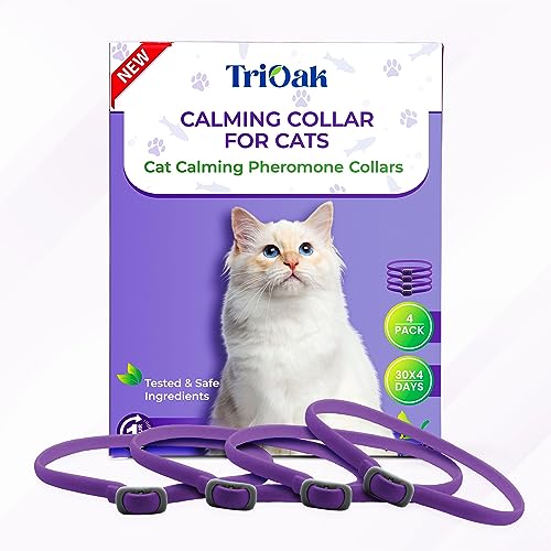 Find The Best Pheromone Collar For Cats Reviews & Comparison Katynel