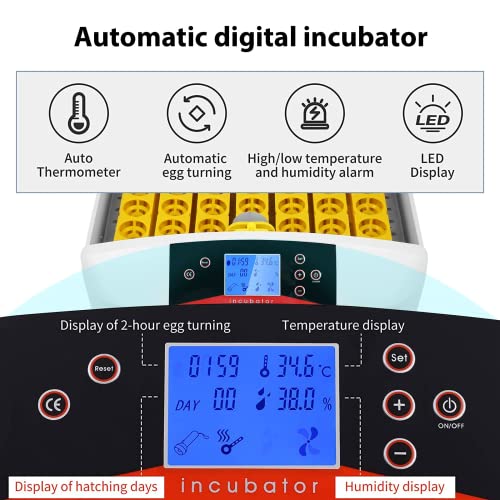 VIEWGOOD Incubatrice per Uova automatica, Girauova...