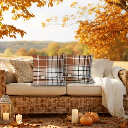 Housse de coussin imperméable déperlante et résistante aux intempéries 61x61